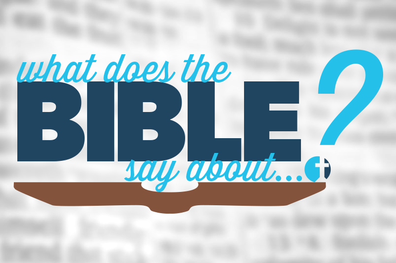 what-does-bible | Timberlane Church of Christ, Tallahassee, Florida